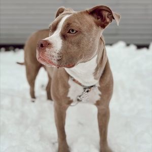 Meet your Posher, Arianna